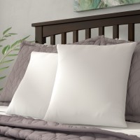 Alwyn Home White Super Soft Pillow Insert with Protectors ANEW2145
